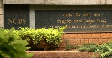 NCBS Jobs: ಎನ್‌ಸಿಬಿಎಸ್‌ನಲ್ಲಿ ಕ್ಲರ್ಕ್‌ ಹುದ್ದೆಗಳಿಗೆ ಅರ್ಜಿ ಆಹ್ವಾನ, ಬೆಂಗಳೂರಿನಲ್ಲಿ ಪೋಸ್ಟಿಂಗ್‌; ಈ ಕೂಡಲೇ ಅಪ್ಲೈ ಮಾಡಿ